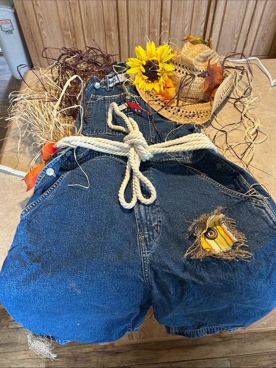 None Other - SCARECROW Costume
